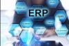 ERP and Special Software Solutions